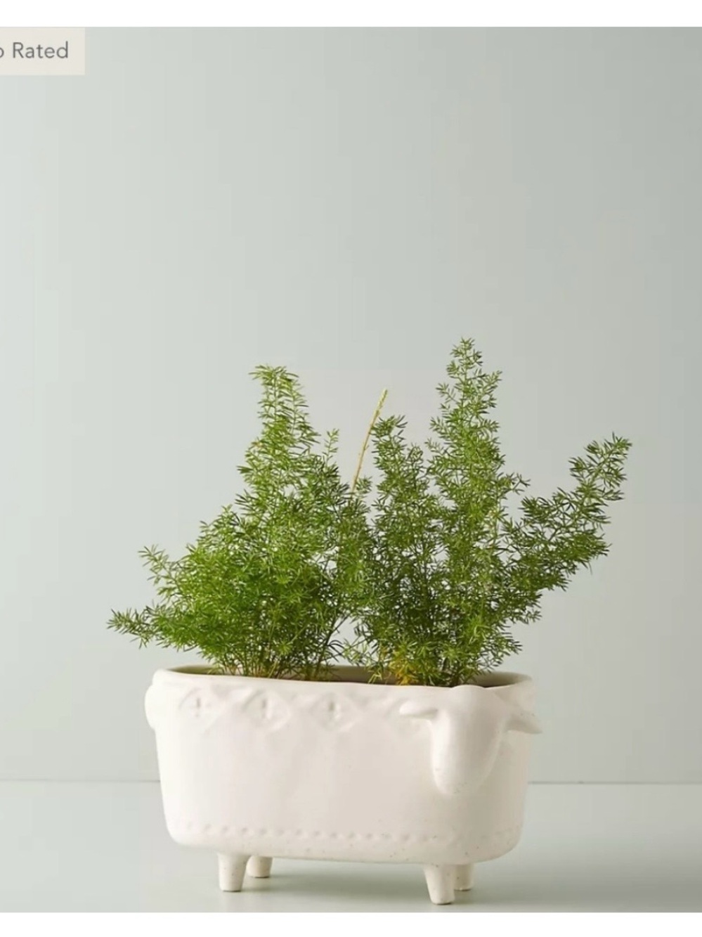 Anthropologie Terracotta Sheep 🐑 Planter 🪴